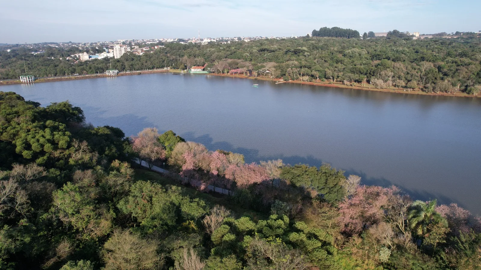 Prefeitura faz licitação e avança com projeto de revitalização do Lago Municipal