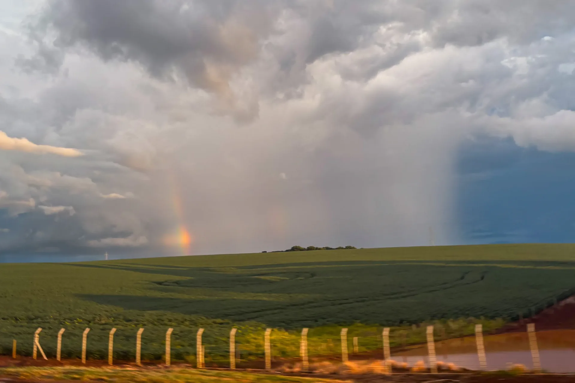 Semana chuvosa terá gangorra nas temperaturas no Paraná