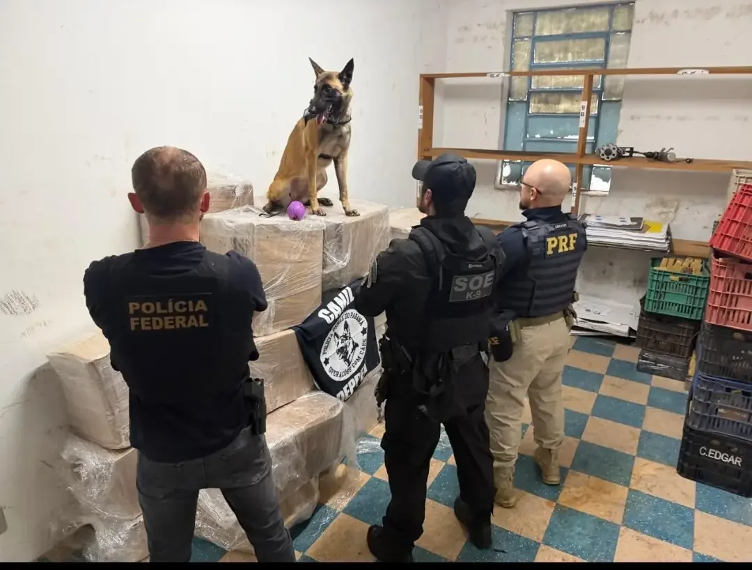Ação integrada apreende quase 1 tonelada de maconha na BR-277, em Guarapuava (PR)