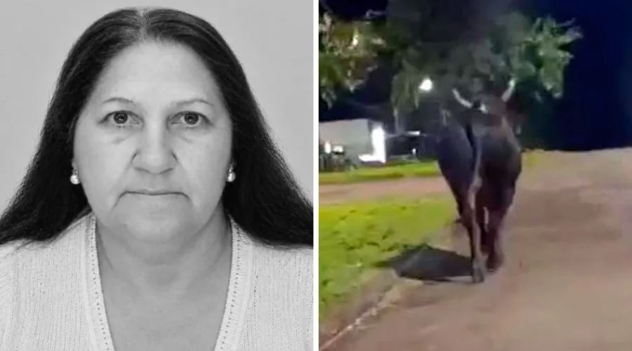 Prefeitura suspende montarias de rodeio após morte de mulher atingida por touro