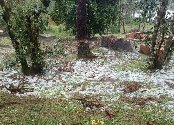 Chuva de granizo causa estragos em residências no interior de Pinhão