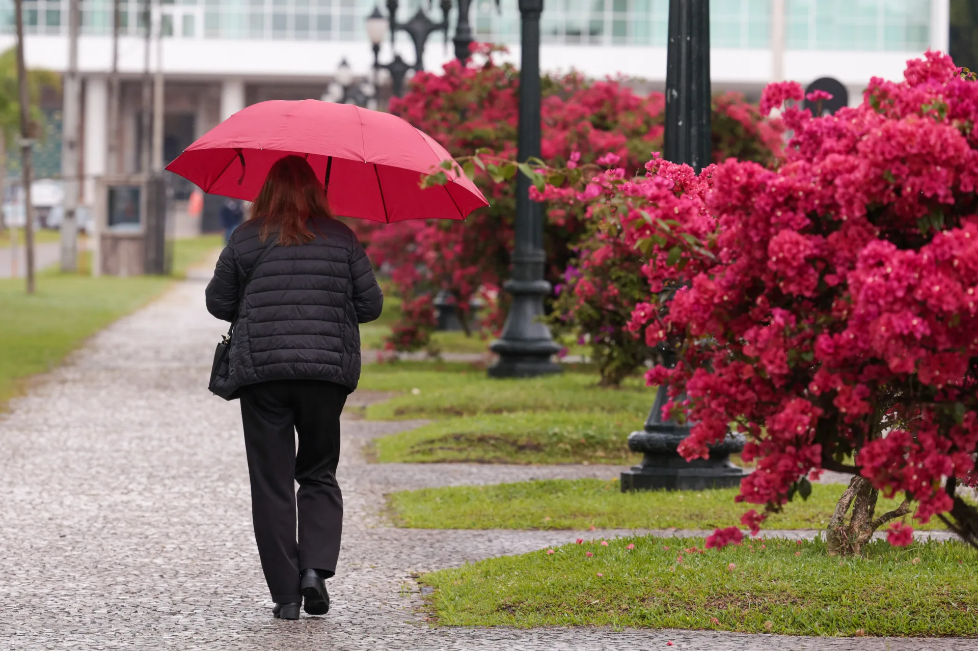 Paraná terá fim de semana cinzento com risco de tempestades, prevê Simepar