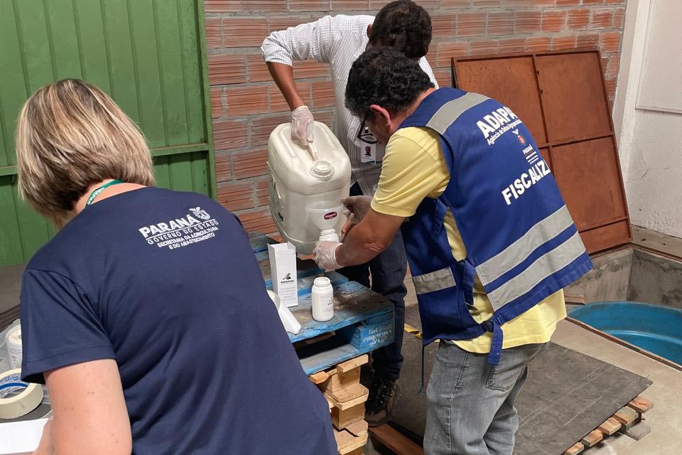 Foto: Divulgação/MPPR