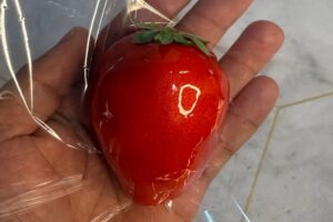 Foto: Divulgação/Instagram