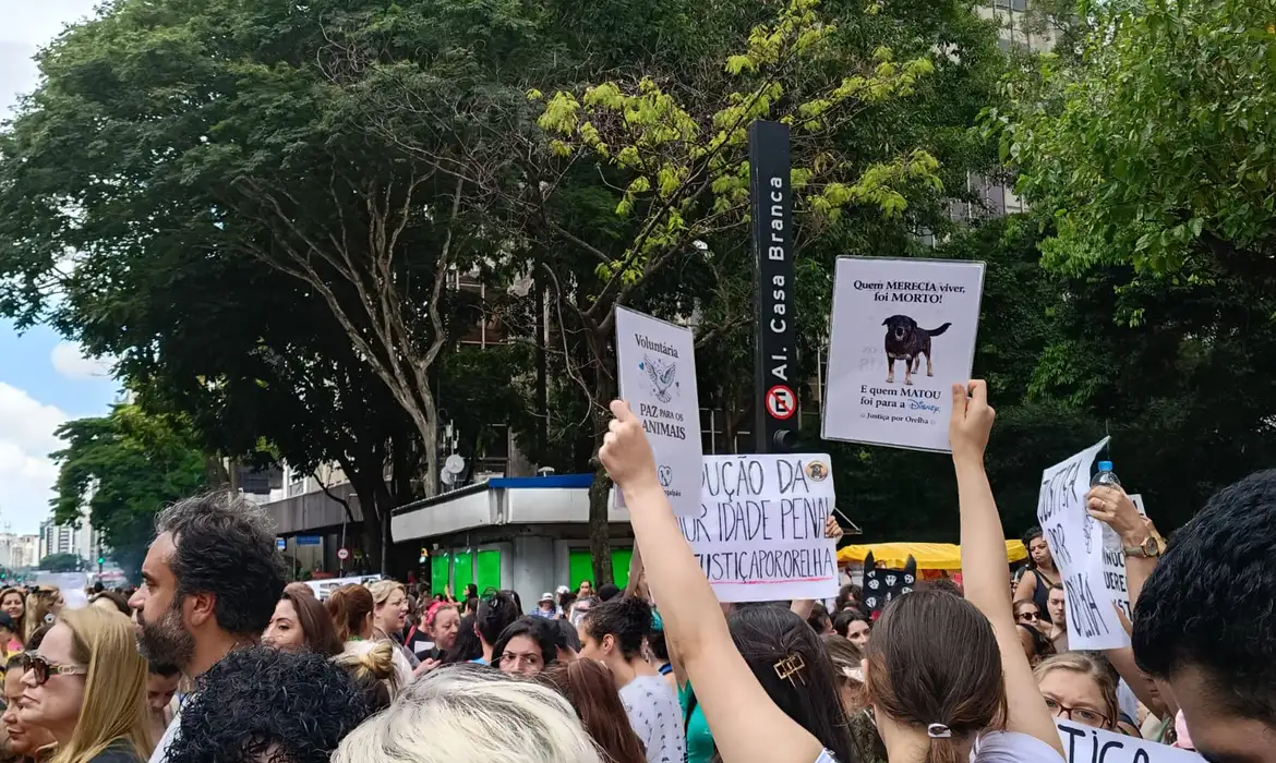 Centenas de pessoas protestam em São Paulo pela morte do cão Orelha